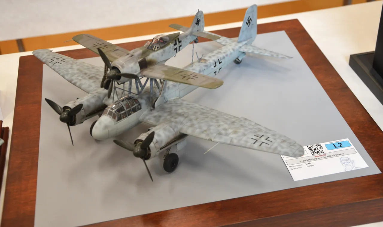 slav-Va-ek-2025-205.webp