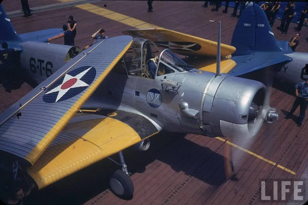 TBD-1.jpg