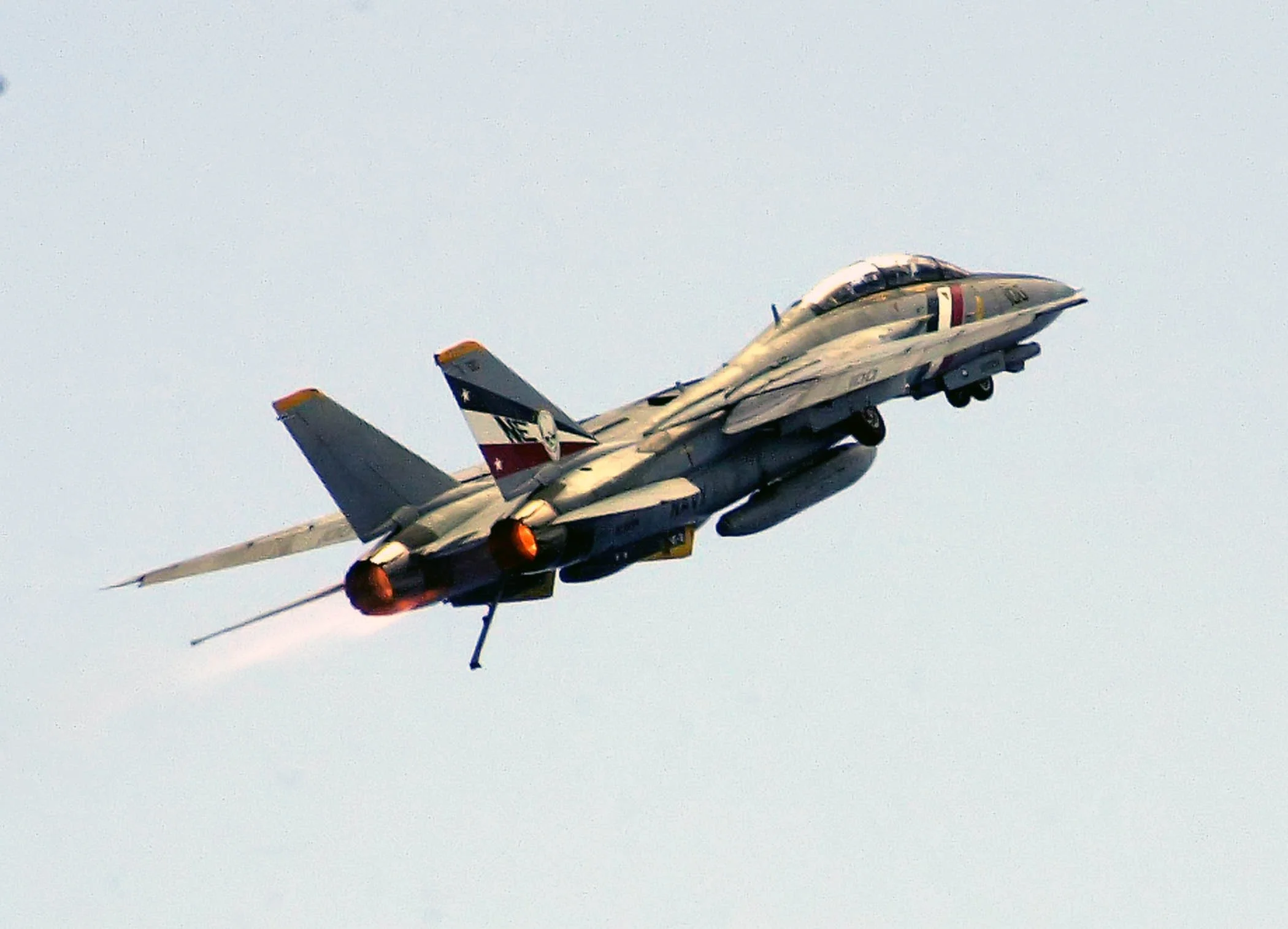 TomCats - 029.webp