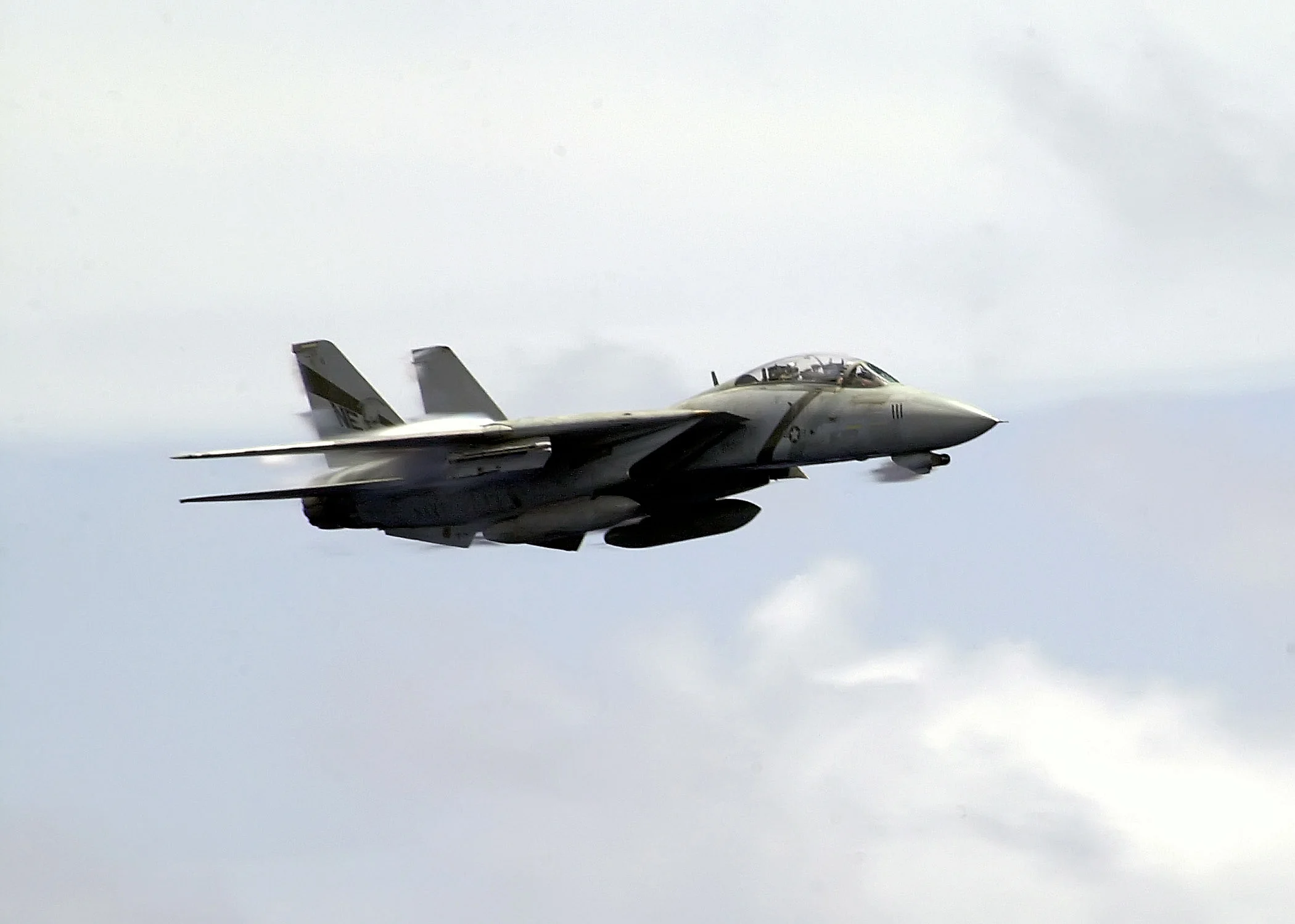 TomCats - 030.webp