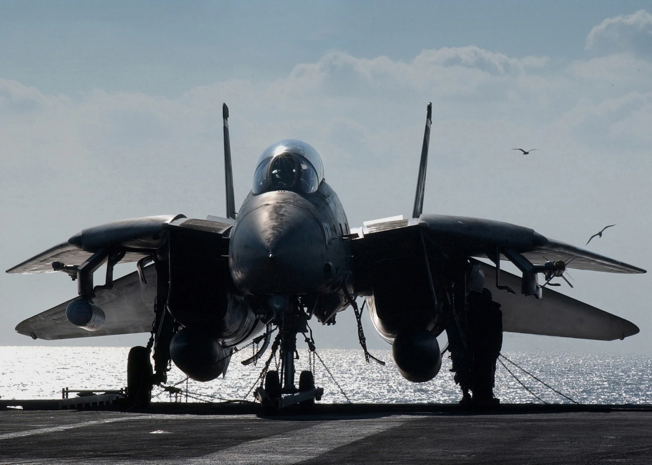 TomCats - 041.webp