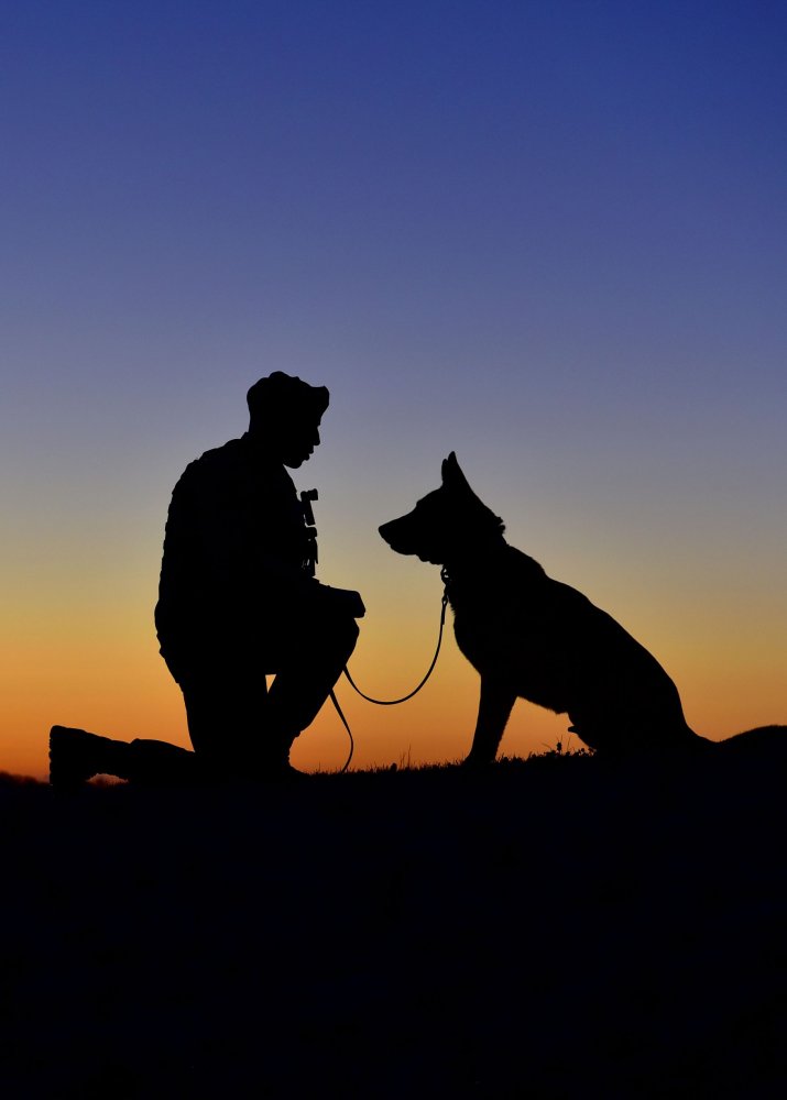 US Senior Airman Nathan White, 11th Security Support Squadron military working dog handler.jpg