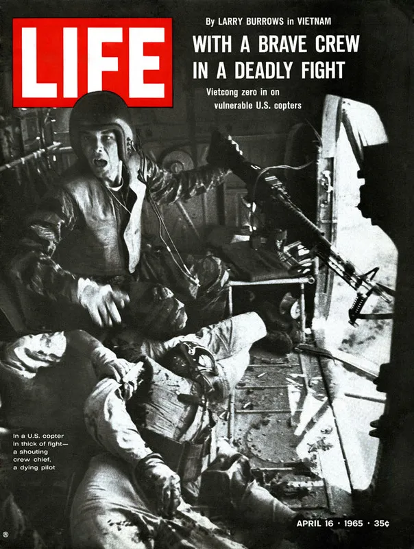 US-VA-TIGER031a1.webp
