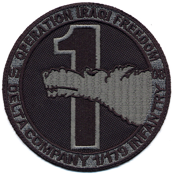 USARMY 179th Inf-1st Bn.-D Co..jpg