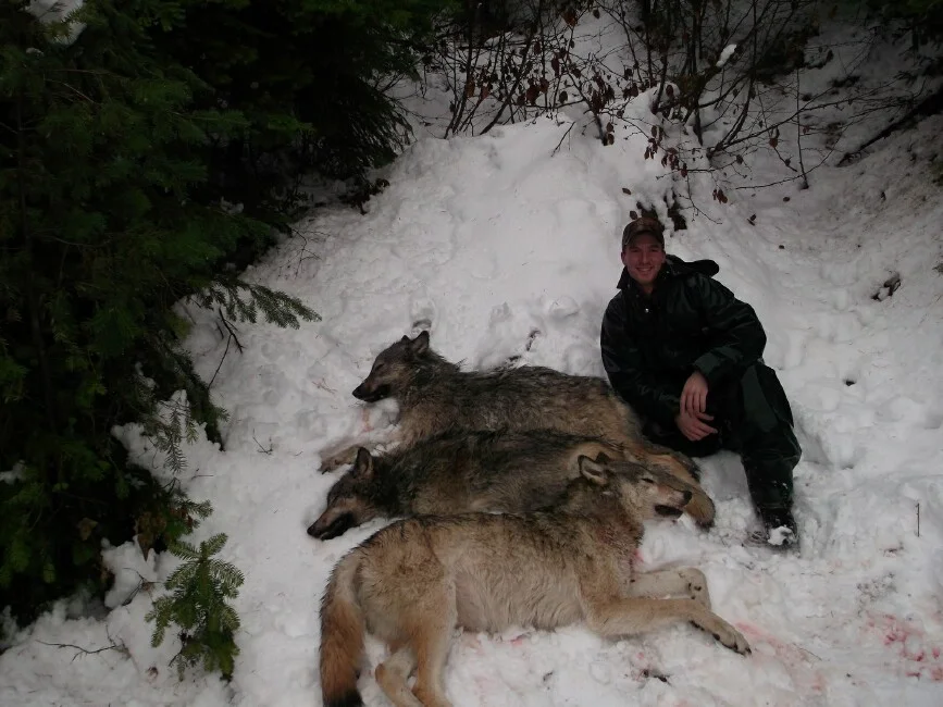 Wolf-Hunting1.webp