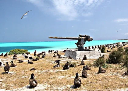 midway-atoll.webp