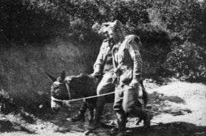 donkey at war 001.jpg