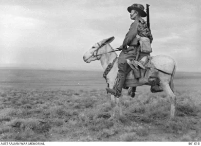 donkey at war 003.webp