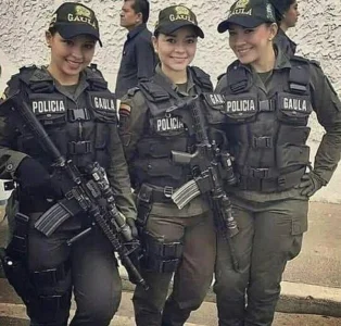 0000.kat1.webp