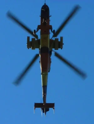 Tigre_vuelo.webp