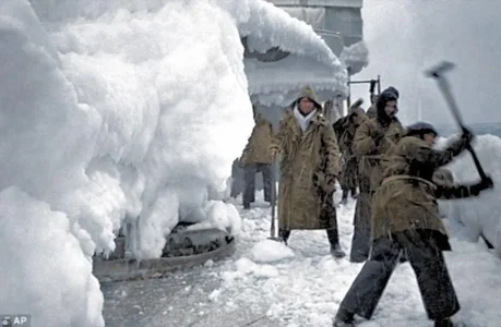 Arctic_co-a-35.webp