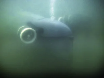 DDU_underwater.webp