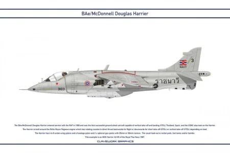 Thai Navy AV-8S (3103).webp