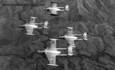 Venezuelan Venom inflight.webp