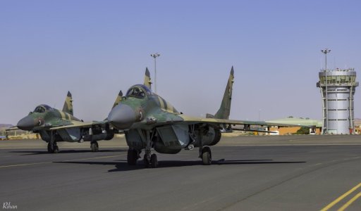 Sudanese MiG-29SEh (607~ & 603) at Merowe during Blue Shield-1 (March until 12 April 2017).jpg