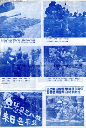 view_image (5).webp