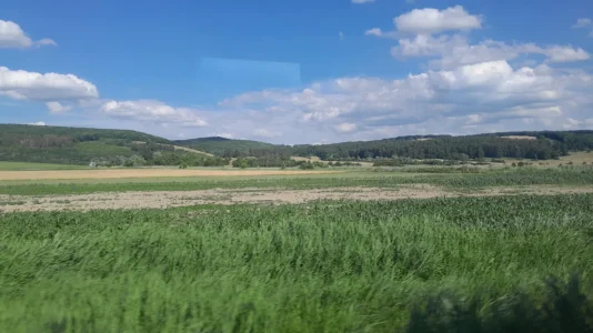 e861d257-2176-4c75-b306-c2ab07bd0265.webp