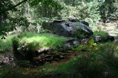 tank on bordon common.webp