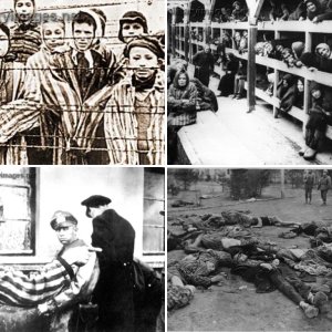 Holocaust