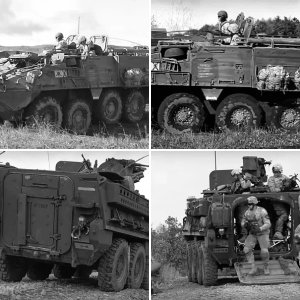 mmv 20