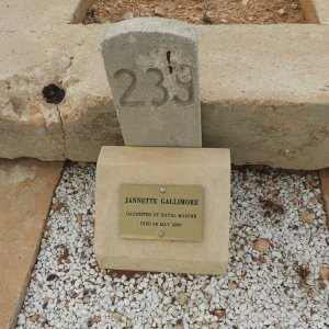J239 Janette GALLIMORE
