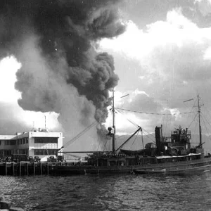 USS Avocet