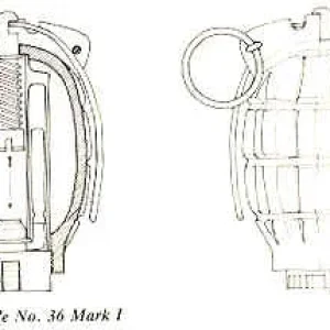 M36