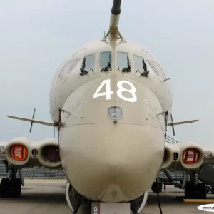 Nimrod