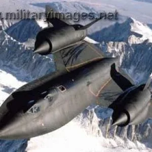 Blackbird