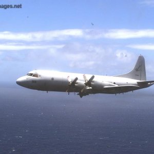 Korean P-3C Orion Aircraft flies near the coast of Kauai