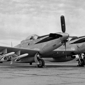 MX-799-on-F-82-Twin-Mustang-1S