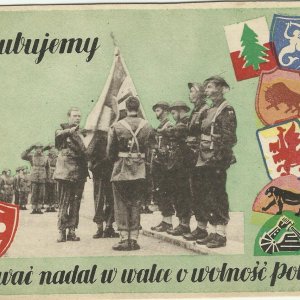 1946 Gen. Anders Quote On Postcard