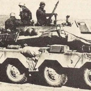 441610002