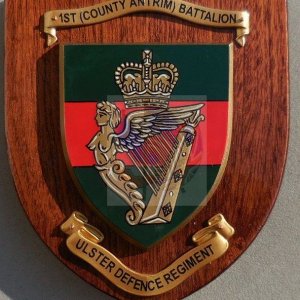 Ulster Defence Regiment 1st County Antrim Battalion