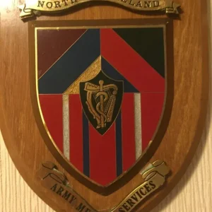 Army Medical Services Northern Ireland