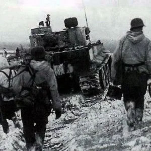 Army-Group North-Jan 1944