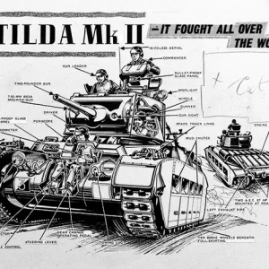 SarsonMatilda