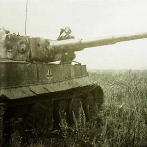 Pz6_Tiger_123_sPzAbt_503_resupplied_Kursk43_gun_points_in_the_direction_of_the_enemy