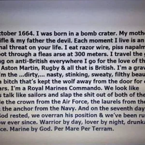 An honest description of a Royal Marine