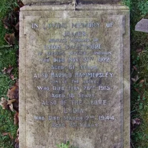 Harold Hammersley SWEETMORE