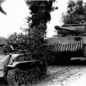 Borward IV Remotely Operated Demolition Tank Of Pz.Abt 301 & Panthers Of Panzer Regt 4