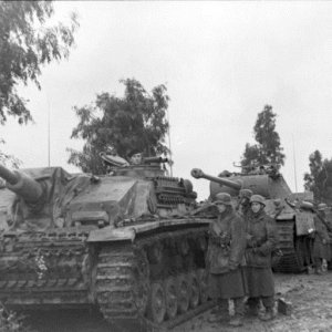 Stug III Of 26 Panzer Division And Panthers Of Panzer Regiment 4
