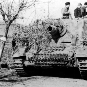 Stumpanzer IV (Brummbär) Of The 216th Assault Tank Battalion