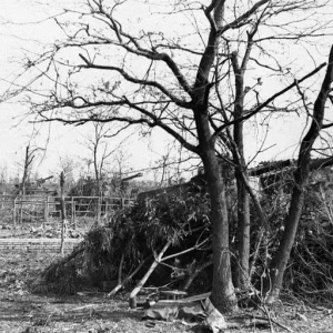 Camouflaged 105mm Wespe Self-propelled Artillery In Gun Position