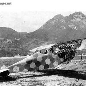 Aviatik D.I