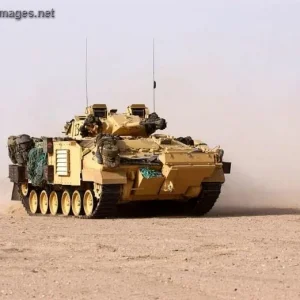 MCV 80 FV 510 (WARRIOR)