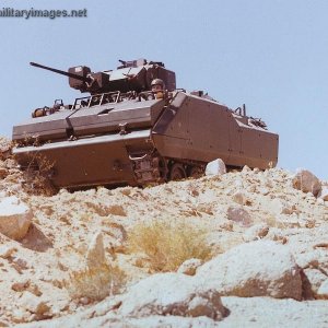 Egyptian Infantry Fighting Vehicle (EIFV)