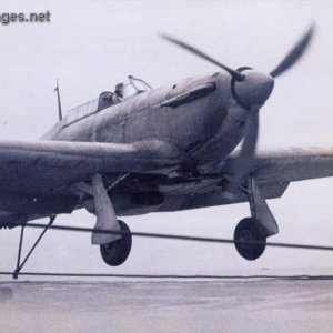 Hawker Sea Hurricane Mk 1B