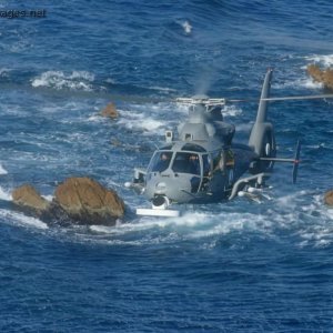 AS 565 Panther - French Navy