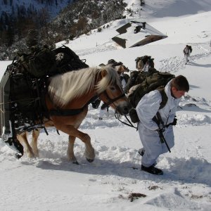 Austrian Soldiers With A Poney